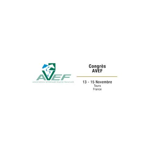 AVEF 2024